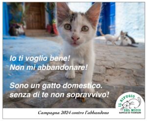 Campagna abbandoni