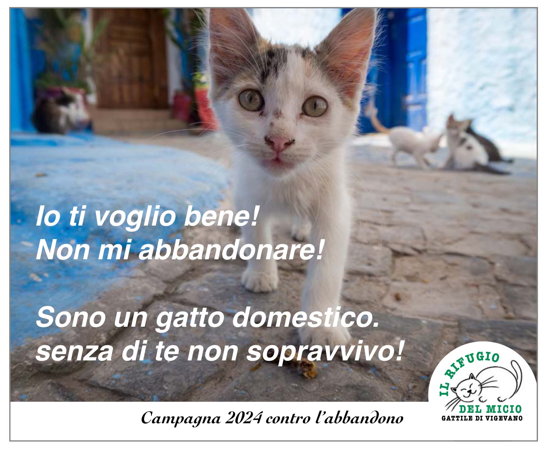 Campagna abbandoni
