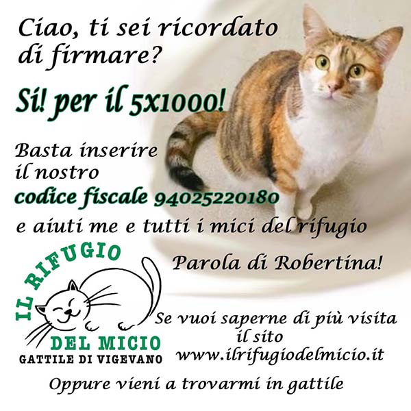 5x1000-
