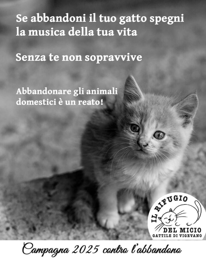 campagna contro abbandoni